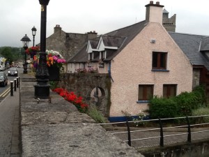 Alongside the Leixlip river